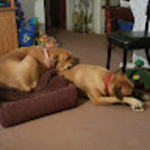 Meet your Posher, Alana